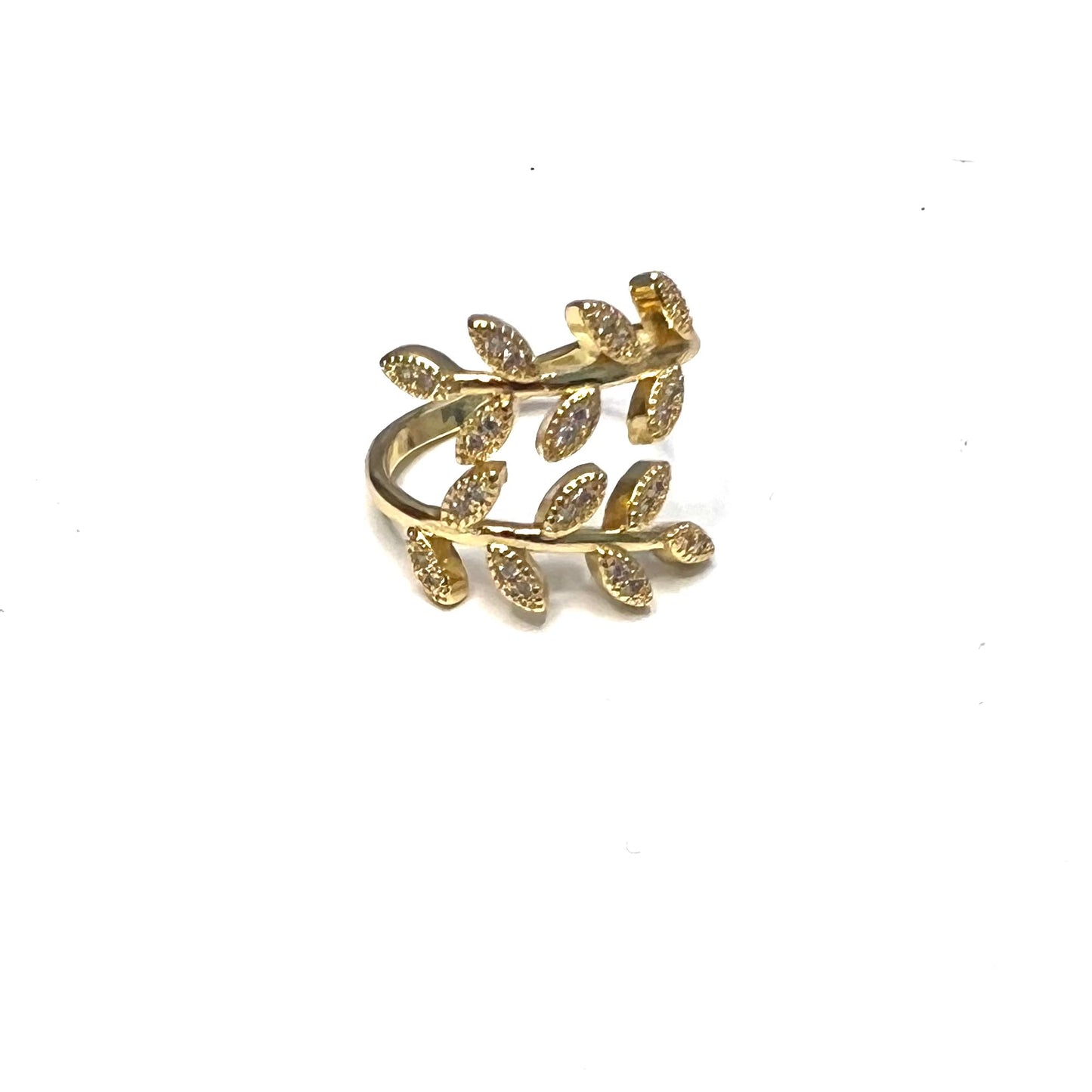 Anillo caminando en amor